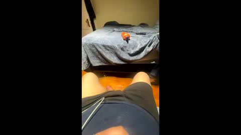 fatz71056 online show from November 22, 2025, 5:17 am