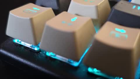 faverry online show from November 14, 2025, 11:20 am