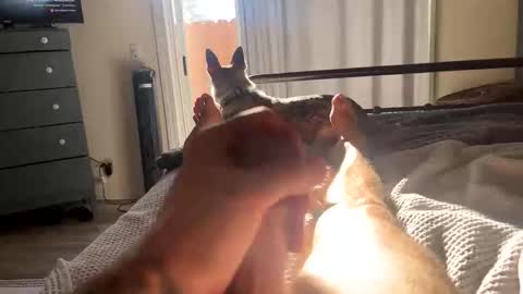 FEETOMINES online show from October 18, 2025, 3:57 pm