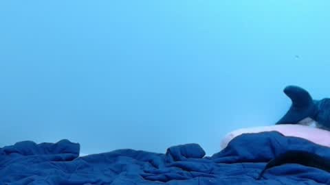 FE fee online show from February 28, 2025, 2:09 am