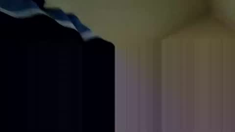 Snapshot of fffjj021 chatting on February 16, 2025, 8:22 pm Raised in 90s online show from February 16, 2025, 8:22 pm