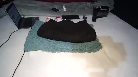 Snapshot of finito_nyl chatting on November 10, 2025, 8:46 am Rania online show from November 10, 2025, 8:46 am