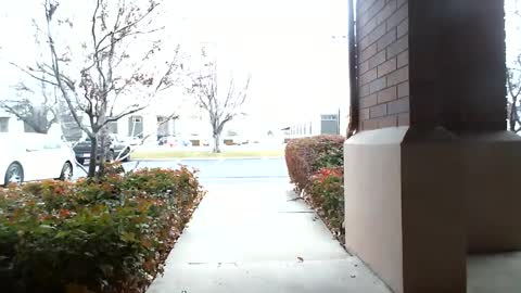 pain slut daren online show from December 16, 2024, 5:33 pm