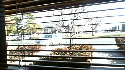 pain slut daren online show from January 9, 2025, 7:08 pm