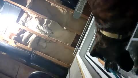 Nate online show from September 25, 2025, 2:15 am