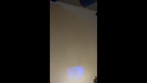 Snapshot of followthewhiterabbittail chatting on September 22, 2025, 3:14 pm Have fun remembering u online show from September 22, 2025, 3:14 pm