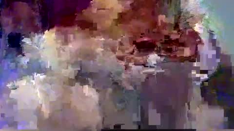 Snapshot of forest133 chatting on December 12, 2024, 7:59 pm forest133 online show from December 12, 2024, 7:59 pm