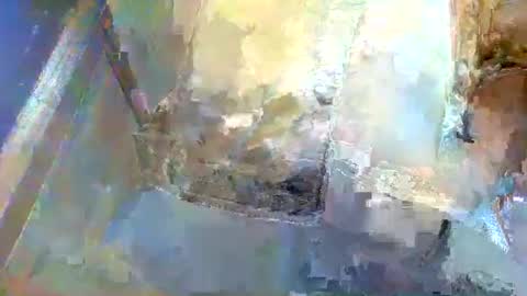 Snapshot of forest133 chatting on January 5, 2025, 1:36 pm forest133 online show from January 5, 2025, 1:36 pm