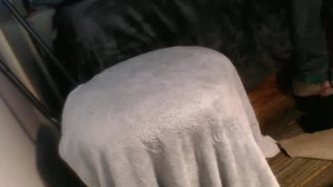 forestnymphpdx online show from December 20, 2024, 10:16 am