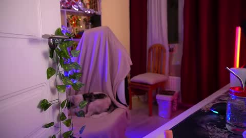 Senya  subscribe to telegram channel  online show from December 2, 2025, 4:51 am