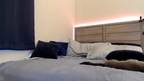 Angel online show from December 14, 2024, 7:03 pm