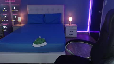 Snapshot of frida_lassi_ chatting on December 5, 2024, 9:28 pm frida_lassi_ online show from December 5, 2024, 9:28 pm