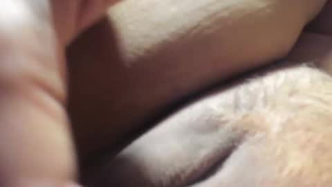 Snapshot of frumcake chatting on December 6, 2024, 1:18 am FrumCake online show from December 6, 2024, 1:18 am