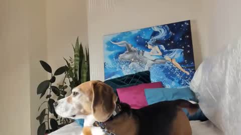 Vicky online show from January 10, 2025, 1:21 am