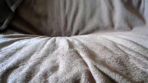 Snapshot of funguy4558 chatting on February 24, 2025, 6:58 pm BigLoadsJoe online show from February 24, 2025, 6:58 pm