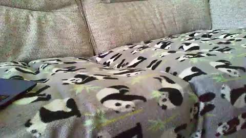 Snapshot of funslimguy chatting on December 30, 2024, 3:46 pm Funslimguy online show from December 30, 2024, 3:46 pm