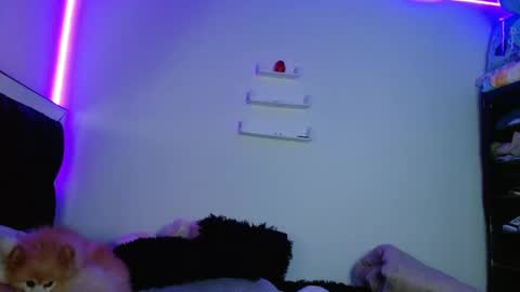 Victoria online show from March 11, 2025, 12:00 am