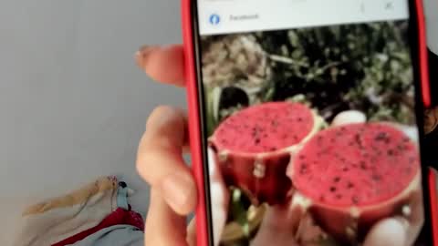 Gabi online show from January 19, 2025, 12:50 pm