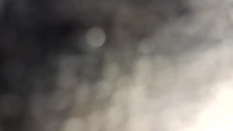 gallistuthomas440 online show from October 29, 2025, 7:26 pm