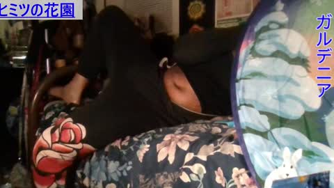 Gardenia online show from December 15, 2024, 11:23 am