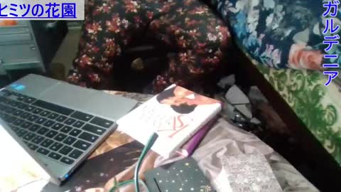 Gardenia online show from December 23, 2024, 8:11 am