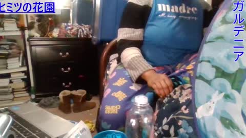 Gardenia online show from December 24, 2024, 5:13 pm