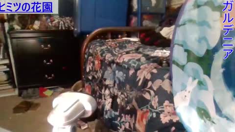 Gardenia online show from December 28, 2024, 5:55 am