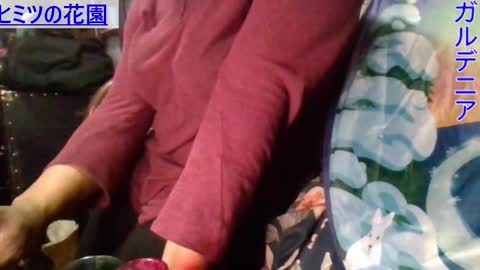 Gardenia online show from January 9, 2025, 7:21 am