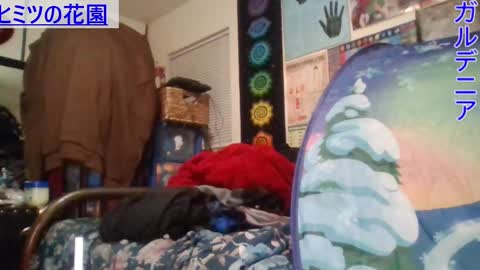 Gardenia online show from January 21, 2025, 7:37 am