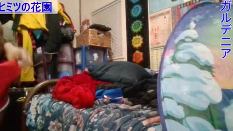 Gardenia online show from January 24, 2025, 8:34 am