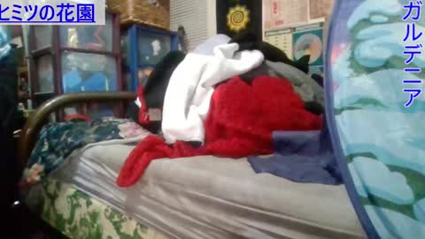 Gardenia online show from March 1, 2025, 7:08 am