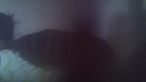 gasielah online show from January 27, 2025, 1:19 pm