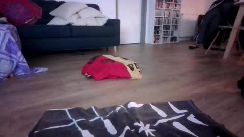 gaypuppychaste online show from December 23, 2025, 4:32 am