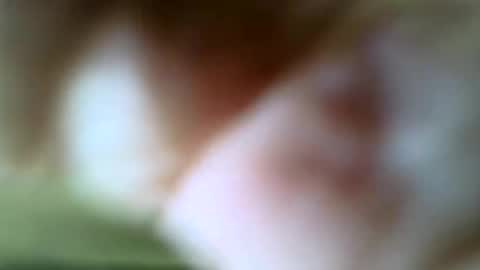 gazjones231 online show from November 16, 2025, 12:22 pm