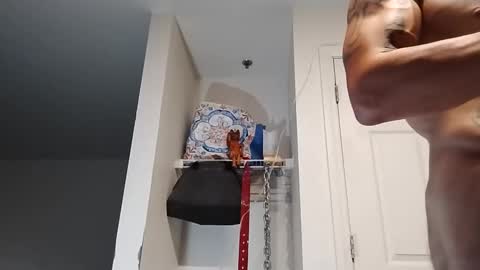 Snapshot of geekedoutlabs chatting on September 13, 2025, 9:53 am Zanecubano online show from September 13, 2025, 9:53 am