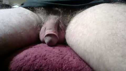 Snapshot of gemini_2 chatting on January 12, 2025, 3:46 pm gemini_2 online show from January 12, 2025, 3:46 pm