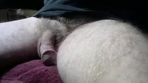 Snapshot of gemini_2 chatting on February 9, 2025, 6:54 am gemini_2 online show from February 9, 2025, 6:54 am