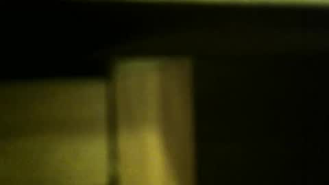 Snapshot of gemini_2 chatting on October 29, 2025, 1:46 pm gemini_2 online show from October 29, 2025, 1:46 pm