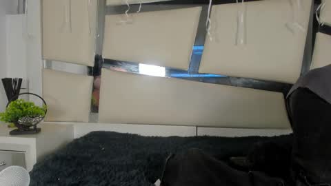 Genesis online show from November 17, 2025, 3:34 am