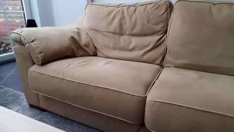 Gentle online show from December 30, 2024, 10:43 am