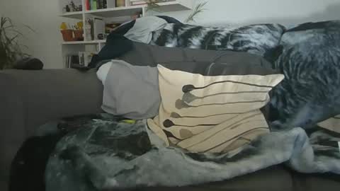 Geon online show from December 19, 2025, 11:28 am