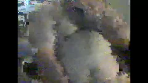 Snapshot of gerabo chatting on December 21, 2024, 4:57 pm gerabo online show from December 21, 2024, 4:57 pm