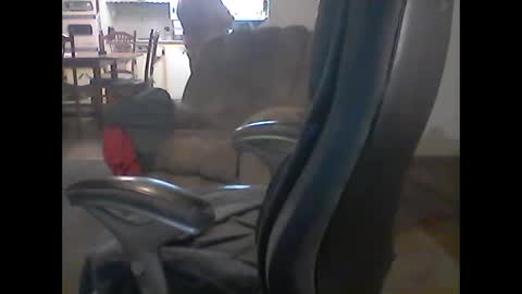 Snapshot of gerabo chatting on March 9, 2025, 4:05 am gerabo online show from March 9, 2025, 4:05 am