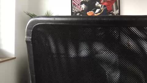 Snapshot of german3003 chatting on October 28, 2025, 9:46 am german3003 online show from October 28, 2025, 9:46 am