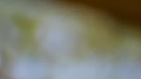 germanandy71 online show from November 17, 2025, 12:00 pm