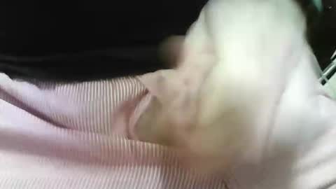 germandaddydick1 online show from October 25, 2025, 8:03 pm