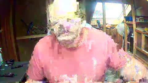 germany_50 online show from December 20, 2024, 12:16 pm