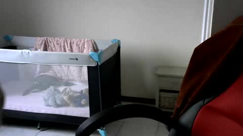 Gisse online show from February 24, 2025, 7:55 am