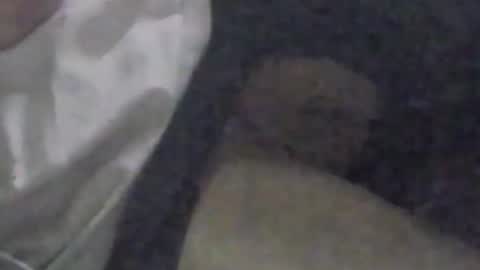 lovegirlscallme online show from September 9, 2025, 3:33 pm