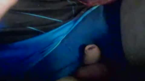 lovegirlscallme online show from October 2, 2025, 5:14 am